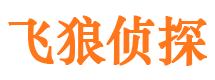 亳州飞狼私家侦探公司